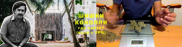 гидра Белоозёрский