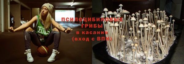 соль курить ск Белокуриха