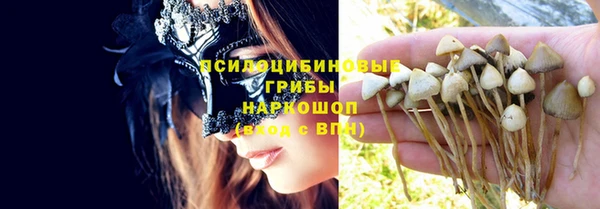 соль курить ск Белокуриха