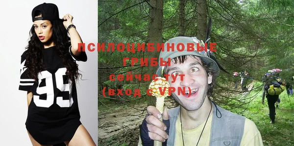 гидра Белоозёрский