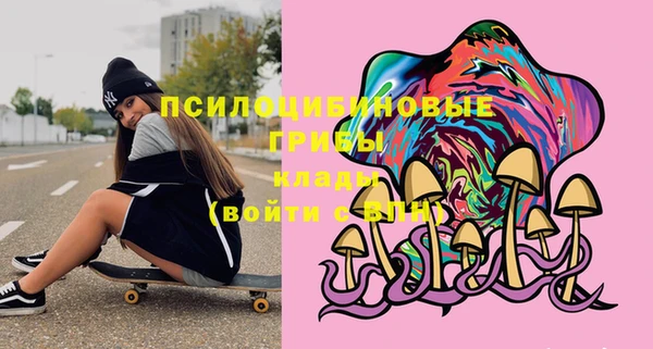 гидра Белоозёрский