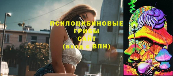 гидра Белоозёрский