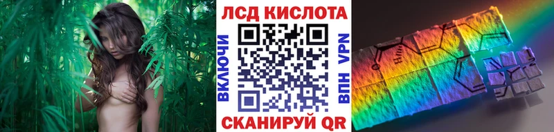 как найти   Курильск  Марки NBOMe 1,8мг 